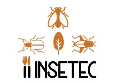 Insecta News: INSETO DO DIA