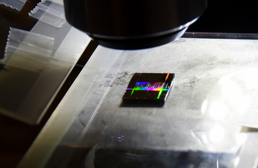 Pequeno chip, de aproximadamente quatro centímetros por quatro centímetros, sobre placa de inox, observado com lente