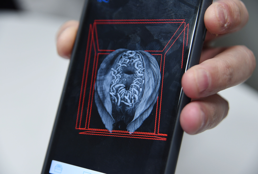 Em área interna, imagem frontal e close-up da tela de um smartphone, sendo que uma pessoa o segura com a mão esquerda. A tela tem fundo preto e exibe uma imagem computadorizada. Imagem 6 de 6.