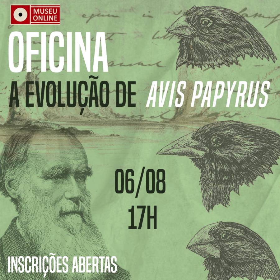 Oficina Evolução das expécies