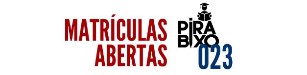 Logo Pirabixo