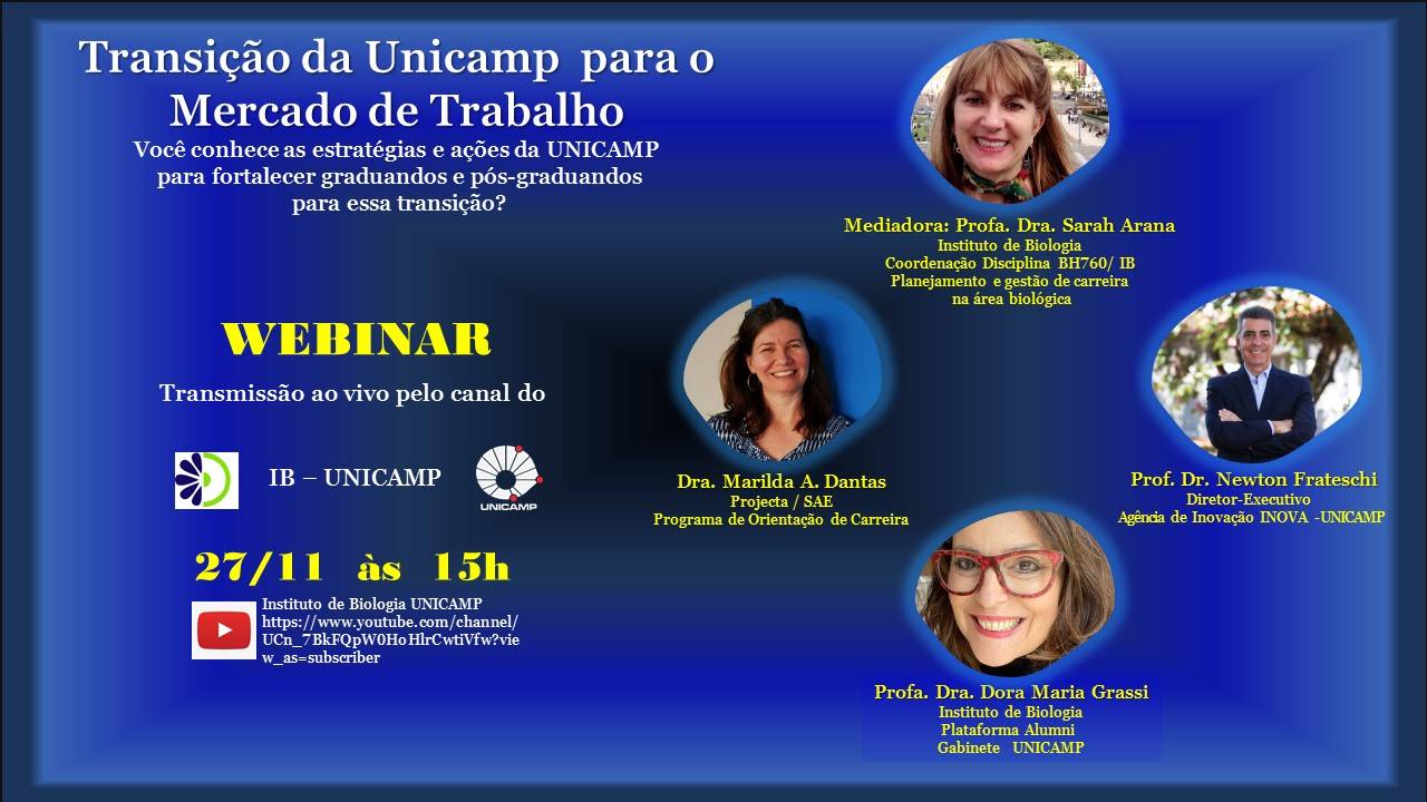 Webinário IB - Mercado de Trabalho