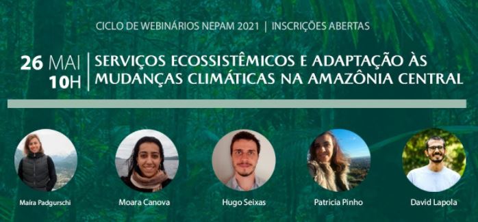 Webinário NEPAM