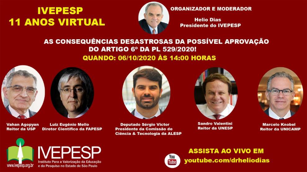 Webinário do Ivepesp com a participação de Marcelo Knobel