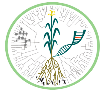 Programa de Pós-graduação em Genética e Biologia Molecular 