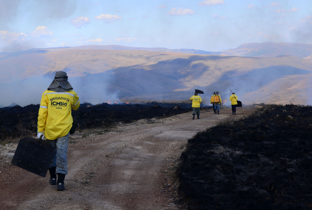 Foto mostra cinco brigadistas do ICMBIO caminhando em uma estrada de terra cuja vegetação em volta foi toda queimada. Eles se dirigem a um foco de incendio com equipamentos para apagar o fogodas