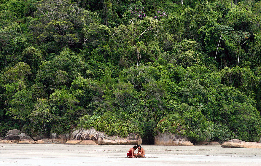 Declínio contemporâneo da biodiversidade mundial – Wikipédia, a  enciclopédia livre