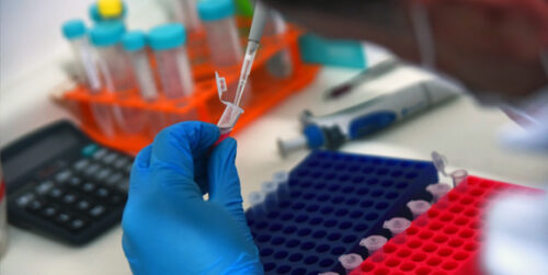 Pesquisador durante experimento em laboratório; encontro da FeSBE terá como tema central a multidisciplinaridade
