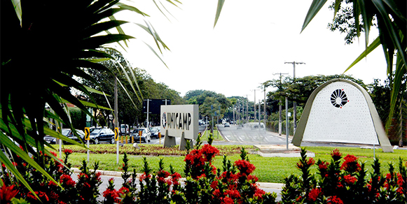 Anuário Estatístico 2024 traz novos indicadores de sustentabilidade e responsabilidade social