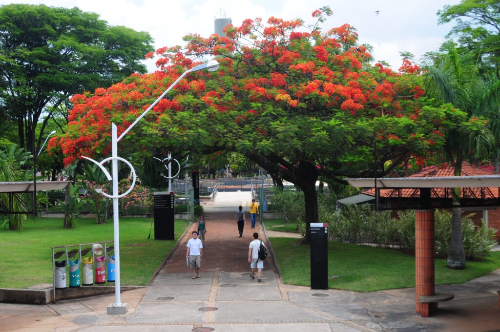 O documento apresenta indicadores relativos às atividades de ensino, pesquisa e extensão desenvolvidas pela Universidade em 2024