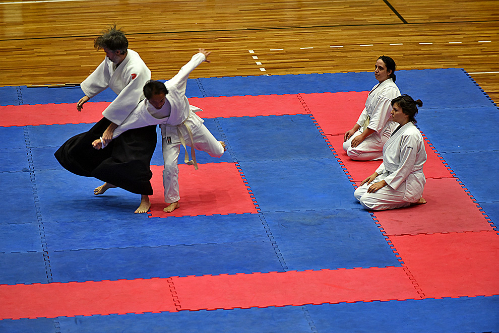 Festival de Budo celebra 130 anos de amizade Brasil-Japão
