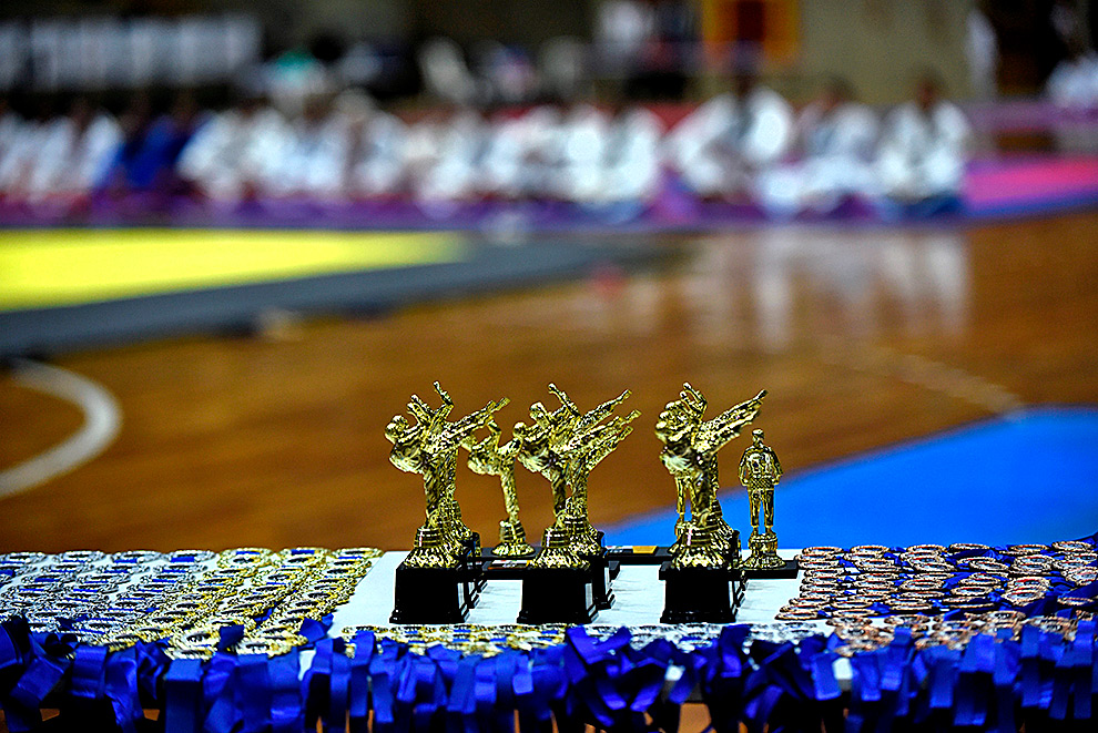 Festival de Budo celebra 130 anos de amizade Brasil-Japão