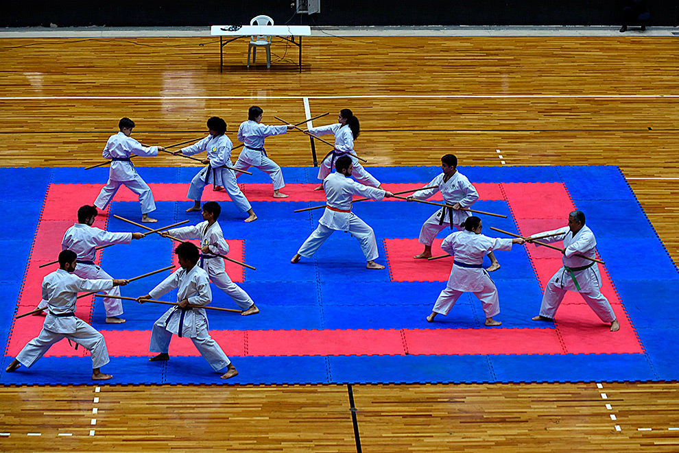 Festival de Budo celebra 130 anos de amizade Brasil-Japão