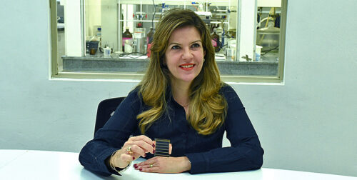 A professora do Instituto de Química da Unicamp (IQ), Ana Flávia Nogueira, foi nomeada como membro do Comitê Gestor do Fundo Setorial de Energia (CT- ENERG), por meio da Portaria do Ministério da Ciência, Tecnologia e Inovação (MCTI) nº 9.217, do dia 25 de junho de 2025.