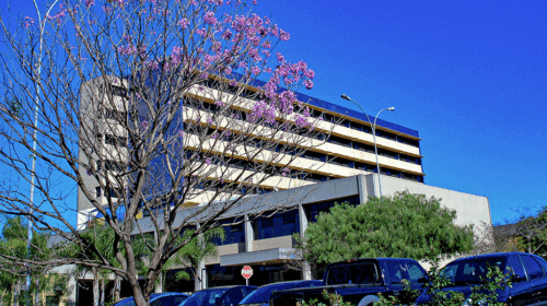 Administrado pela Unicamp já há mais de 20 anos, o HES é referência para urgência clínica, cirúrgica, neurocirúrgica, ortopédica