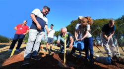 Sumaúma simboliza presença da Unicamp na COP30
