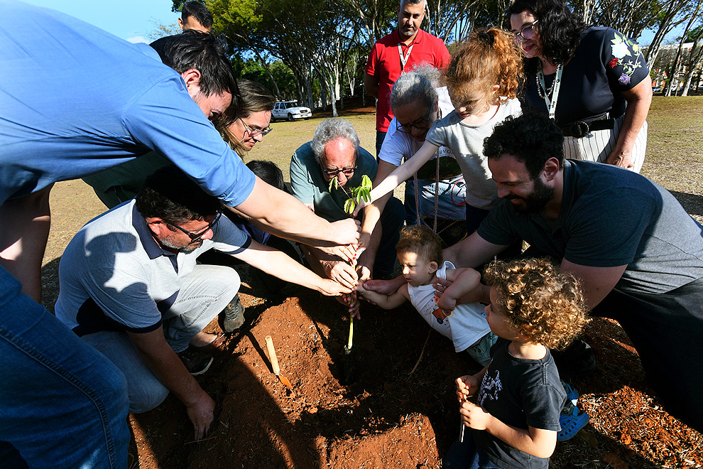 O plantio integra a programação da VI Semana LixoZero e representa um marco da participação da Unicamp na COP30, que ocorrerá em novembro em Belém do Pará