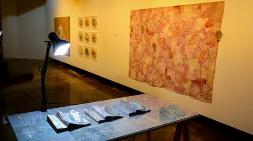 Mostra dos professores do IA tem como marca a diversidade