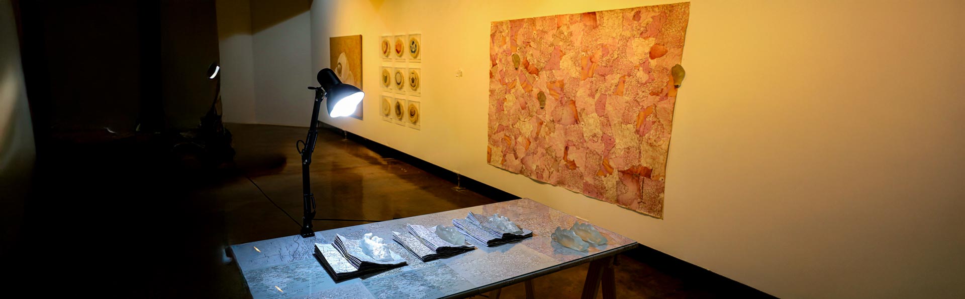 Mostra dos professores do IA tem como marca a diversidade