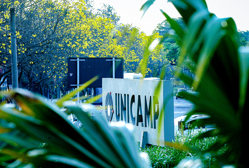 Unicamp na COP 30 em Belém