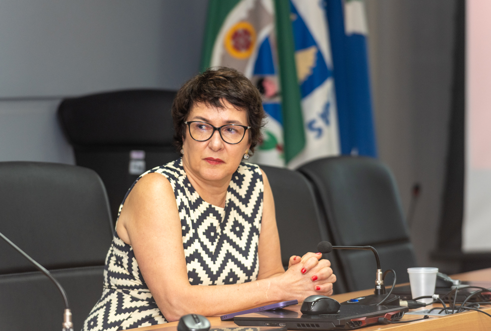 A secretária geral, Ângela de Noronha Bignami: formulário contém todos os artigos do projeto